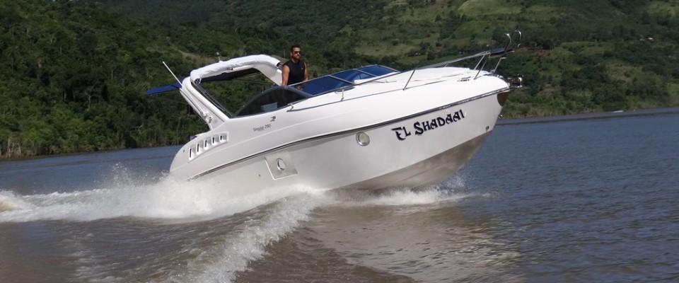 Singular 290 (6)