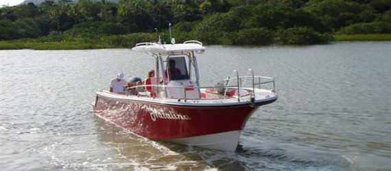 ZETA 260